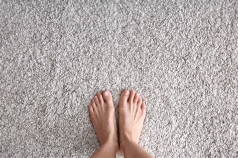 27+ schön Foto Tedox Teppich Domäne / Tedox Kg In Der Stadt Salzgitter