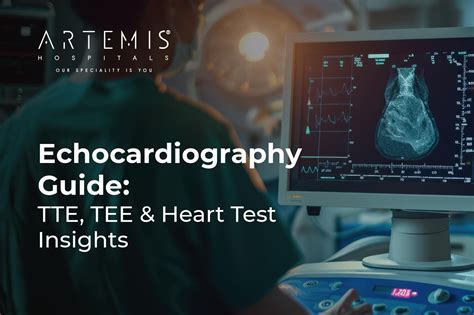 Understanding the TEE Test for Heart Health: What You Need to Know