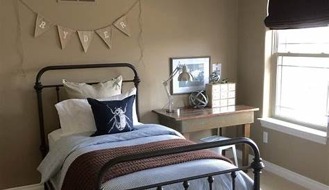 Teen Boy Bedroom Ideas Gray And Brown 30+ Colors