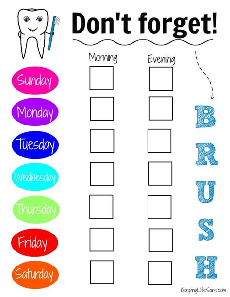 Cute Teeth Brushing Chart For Kids. Vector Dental Care Stomatology