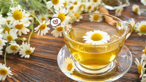 Temukan Manfaat Teh Chamomile yang Jarang Diketahui