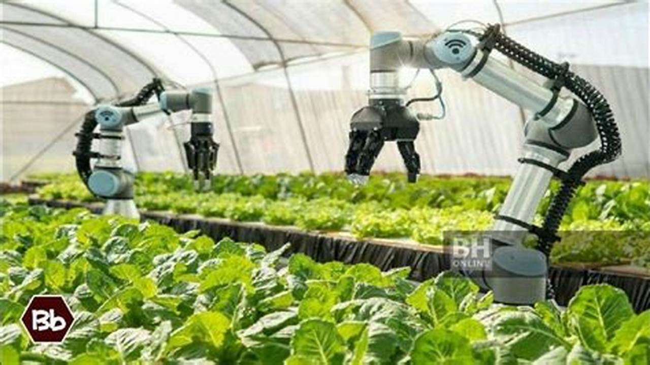 Teknologi Pertanian: Inovasi untuk Masa Depan Pangan
