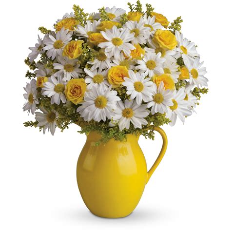 teleflora sunny pitcher daisies
