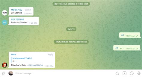 telegram bot check id