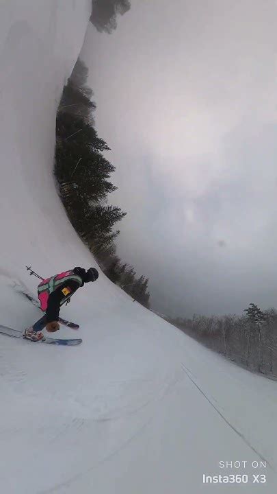 Telemark Skiing Switch