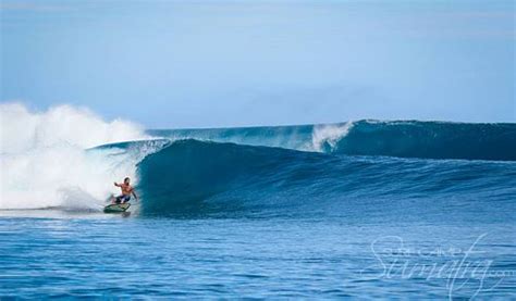 Telescopes Surf Break