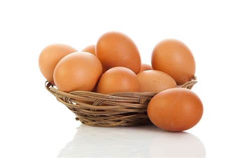 gambar telur
