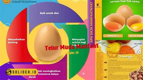 Temukan Manfaat Telur Muda yang Jarang Diketahui