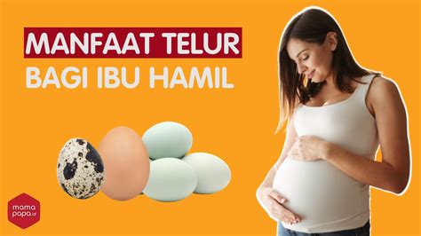 manfaat telur rebus untuk ibu hamil trimester 1
