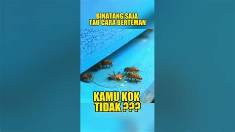 teman suka memanfaakan