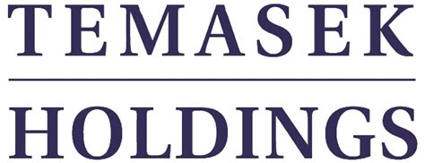 temasek holdings singapore fund