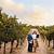 temecula family friendly wineries