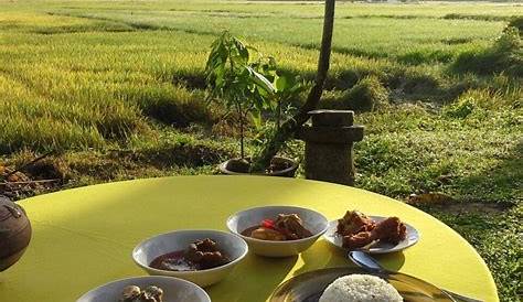Tempat Makan Di Langkawi / Eylizar Homestay Murah Langkawi Pekan Kuah