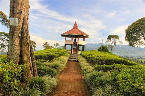 Tempat Wisata Di Pangalengan Bandung Selatan Tempat Wisata Indonesia