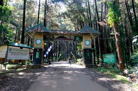 Tempat Wisata Gunung Pancar: Keindahan Alam Yang Menakjubkan