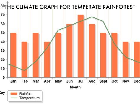 temperate rainforest temperature