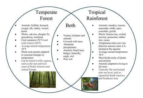 temperate rainforest vs temperate deciduous
