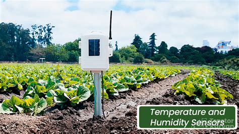 Temperature And Humidity Sensor In Agriculture