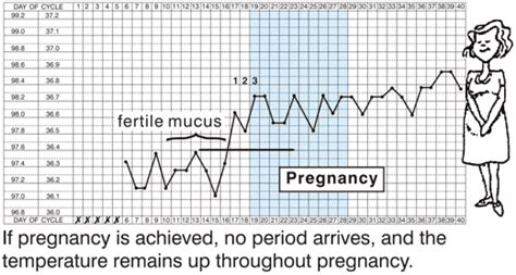 Temperature And Pregnancy Chart