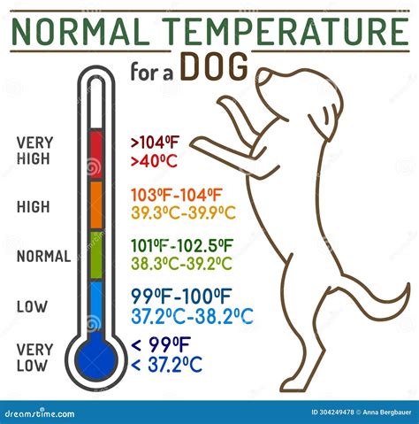 Temperature For A Dog