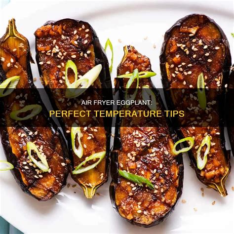 Temperature For Eggplant
