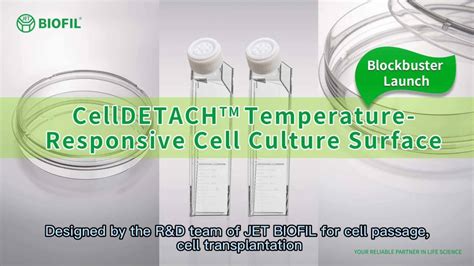 Temperature-Responsive Cell Culture Surface
