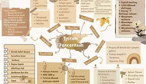 Mind Map Powerpoint Template Ppt Slides Sketchbubble Winder Folks