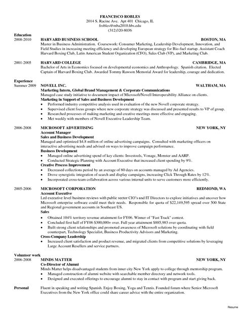 template cv harvard it