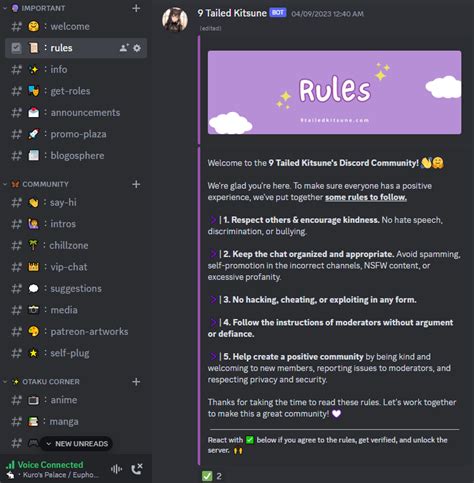 Template Discord Rules