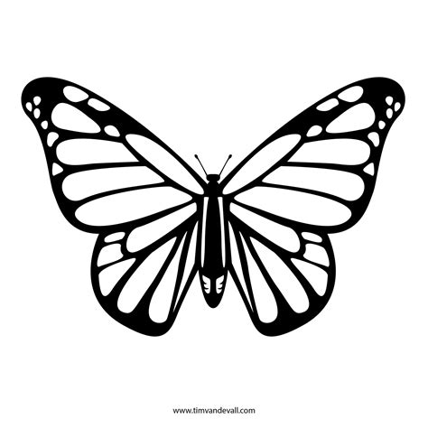 Template For Drawing A Butterfly