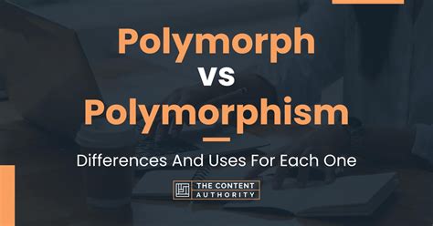 Templates Vs Polymorphism