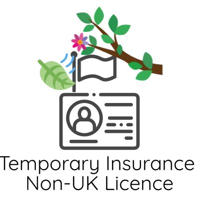 temporary car insurance for non uk licence