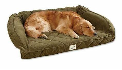 Tempur Pedic Beds For Dogs Orvis pedic Dream Lounger Dog Bed Medium