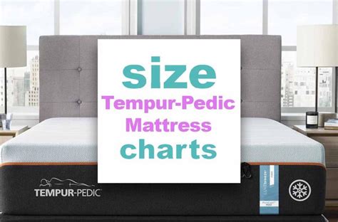 Tempur Pedic Bed Frame Dimensions
