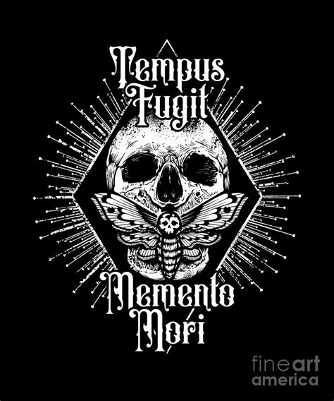 tempus fugit meaning latin expression