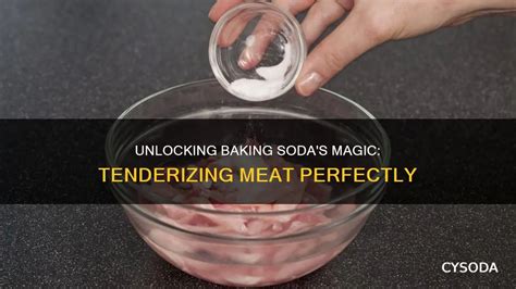 Tenderize Meat Baking Soda