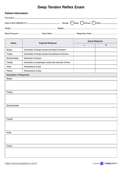 tendon exam template documentation