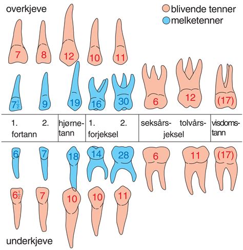 Top Tenner: Unmissable Insights You Need!