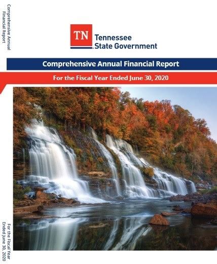 tennessee annual report 2021