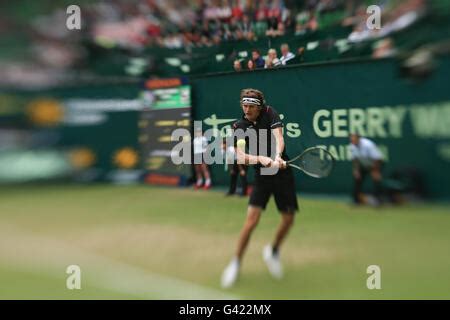 tennis alexander zverev live