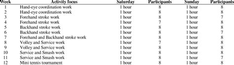 Tennis Training Program For Beginners