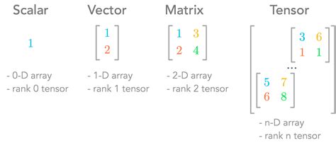 tensor vs vector vs matrix
