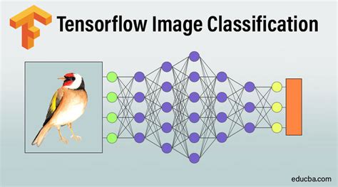tensorflow classification example