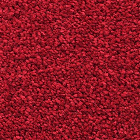 * Teppich 5m X 25m Kaufen auf Ricardo