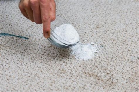 Tips To Pick The Best Carpet Stain Removers answersguide