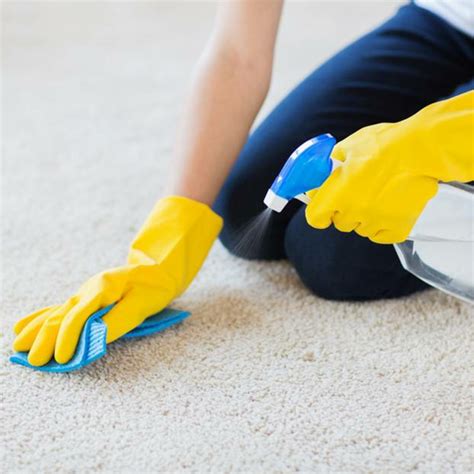 Tips To Pick The Best Carpet Stain Removers answersguide