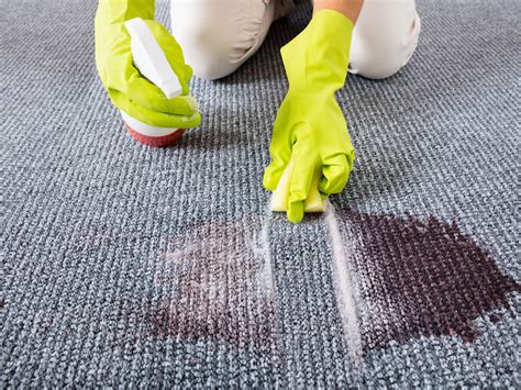 Teppich Reinigen Mit Backpulver