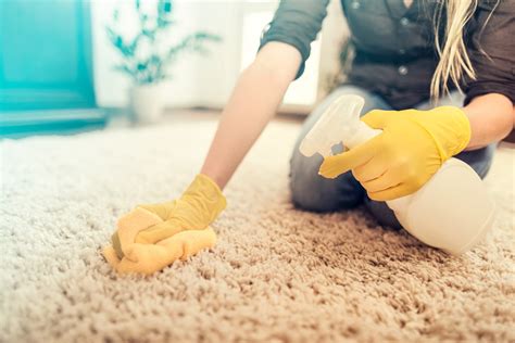 Teppich reinigen Effektive Tipps und Tricks MEISTERSAUBER