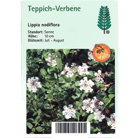 TeppichVerbene / Kriechende Teppichverbene (Phyla nodiflora)