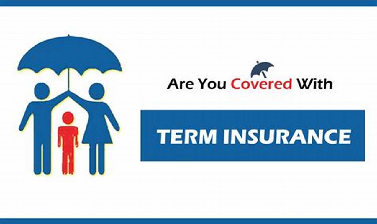 term insurance has which of the following characteristics